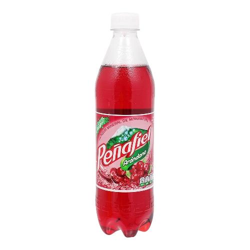 Peñafiel 600 Ml Varios Sabores