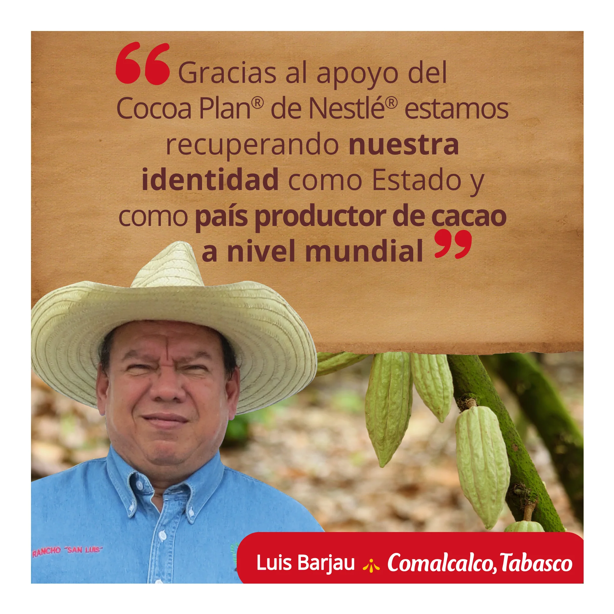Chocolate Abuelita Paquete - Image 9