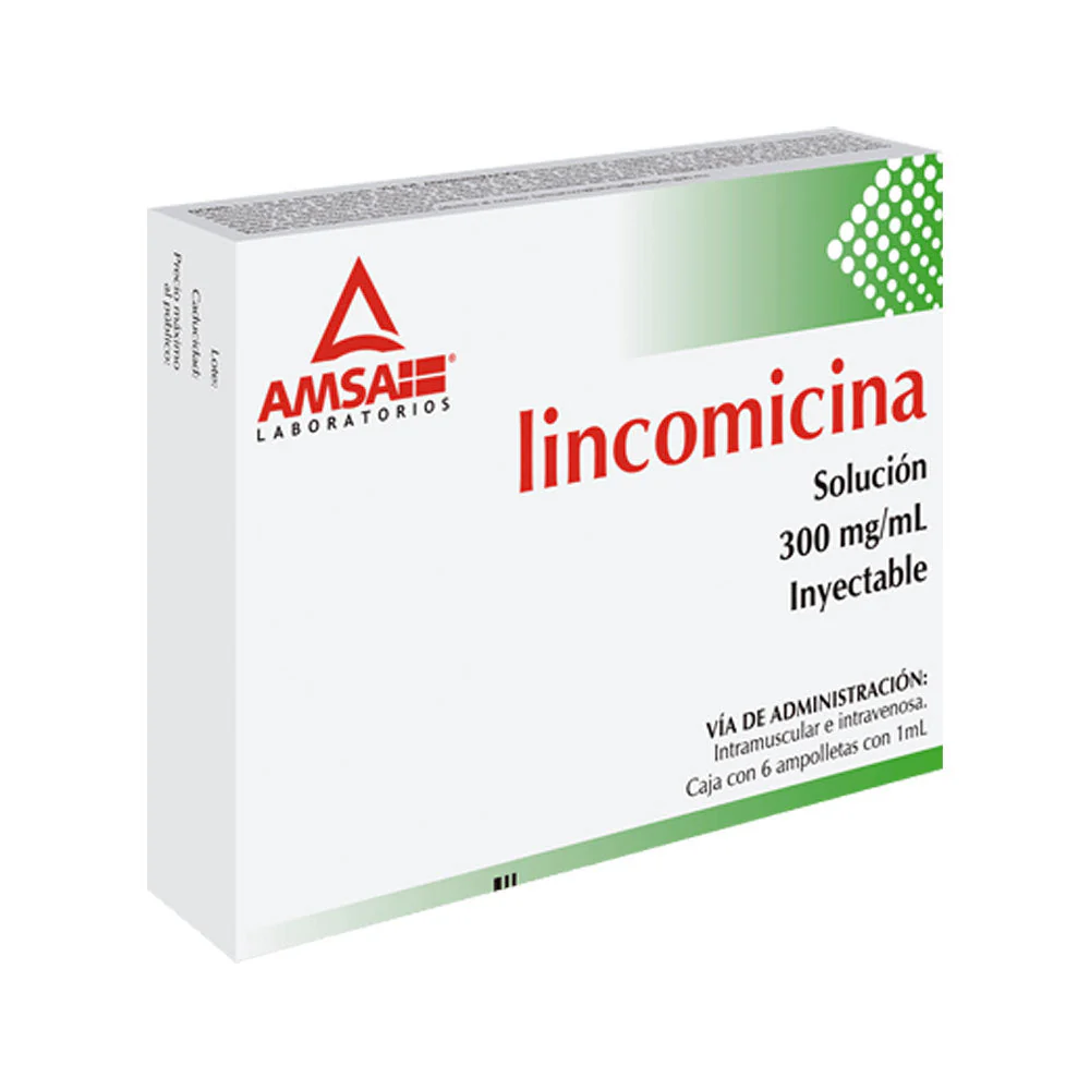 Lincomicina 300 Mg Con 6 Ampolleras Im O Iv Amp 1 Ml
