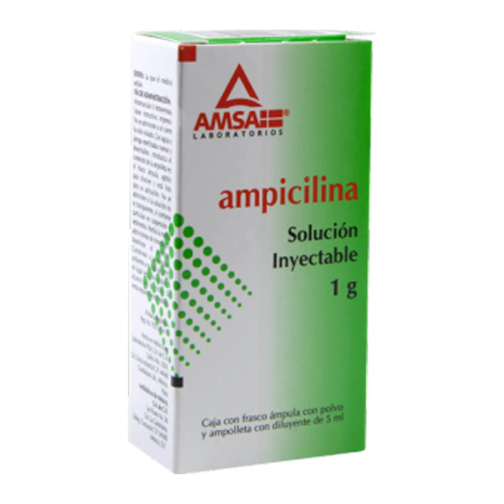 Ampicilina Frasco Ampula 1 G 5 Ml Amsa