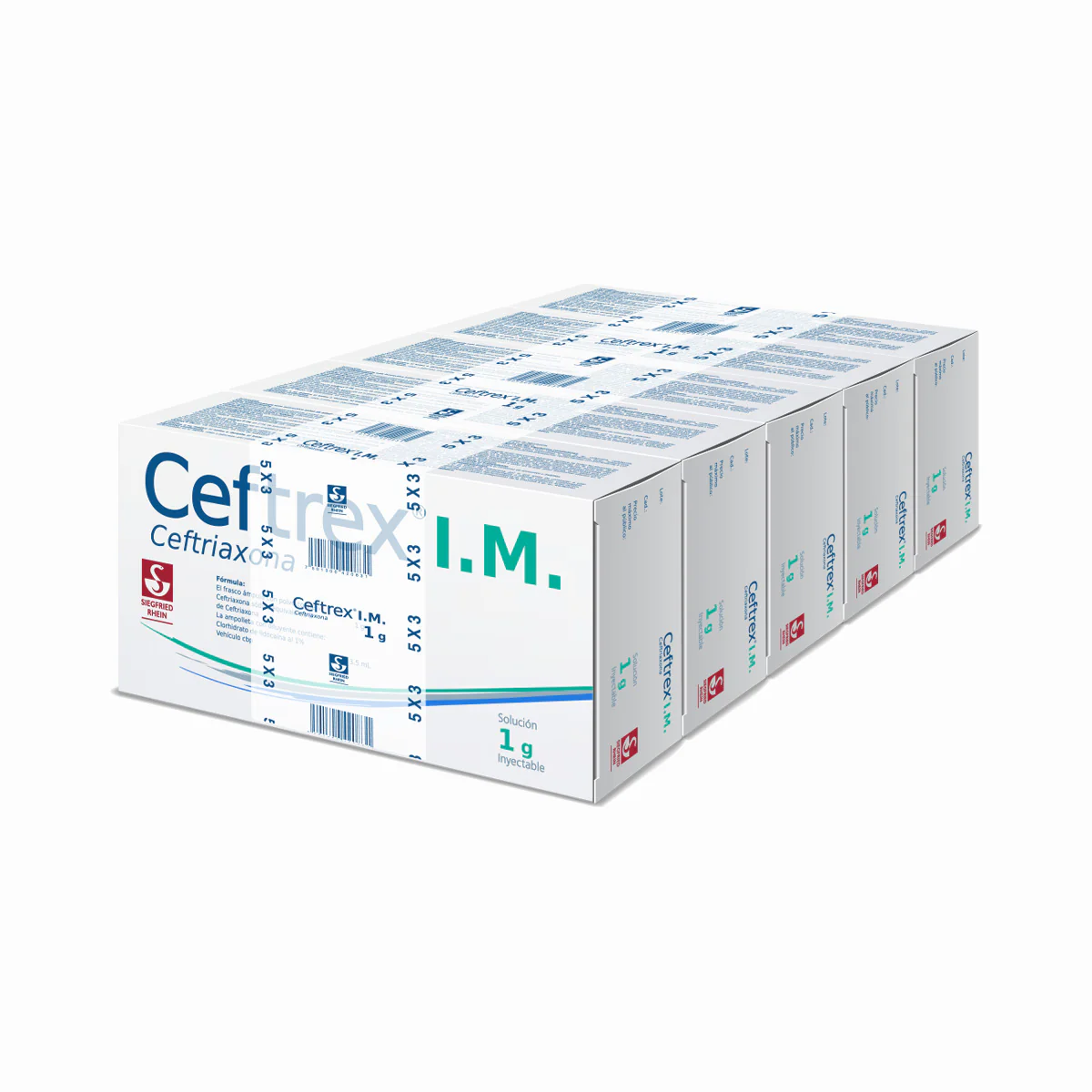 Ceftrex Im 1 G - Ampolletas Y Vial Para 5 Inyecciones (Ceftriaxona) - Image 2