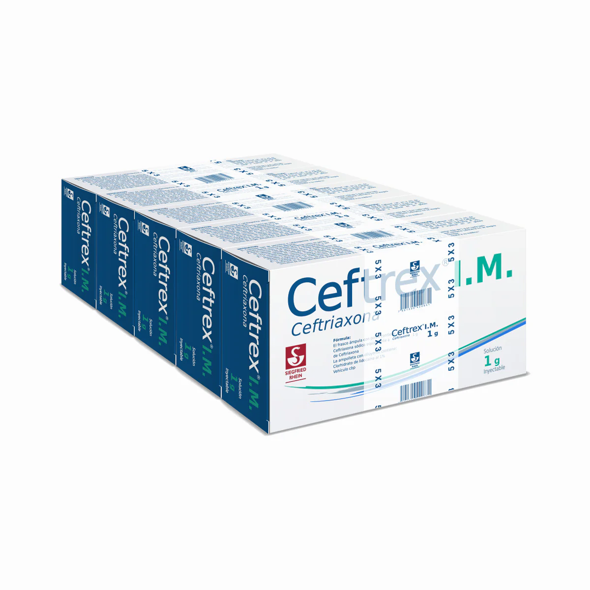 Ceftrex Im 1 G - Ampolletas Y Vial Para 5 Inyecciones (Ceftriaxona) - Image 3