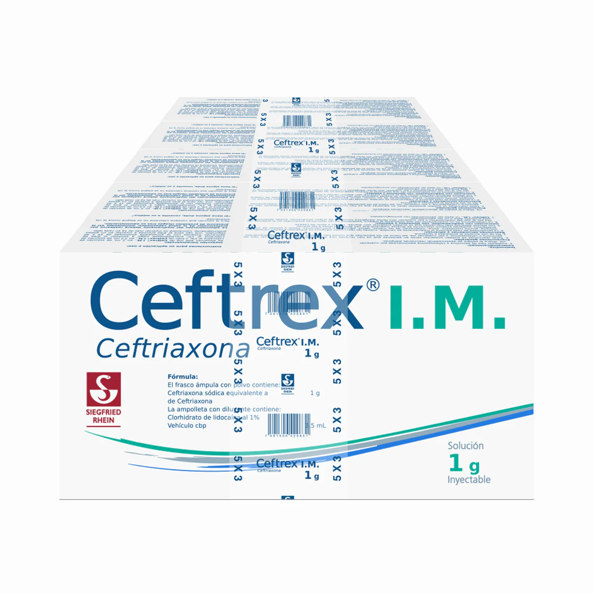 Ceftrex Im 1 G - Ampolletas Y Vial Para 5 Inyecciones (Ceftriaxona) - Image 4