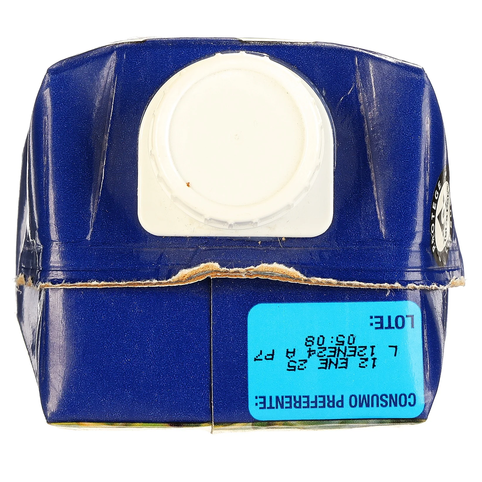 Jumex Prisma Mango 960 Ml - Image 6