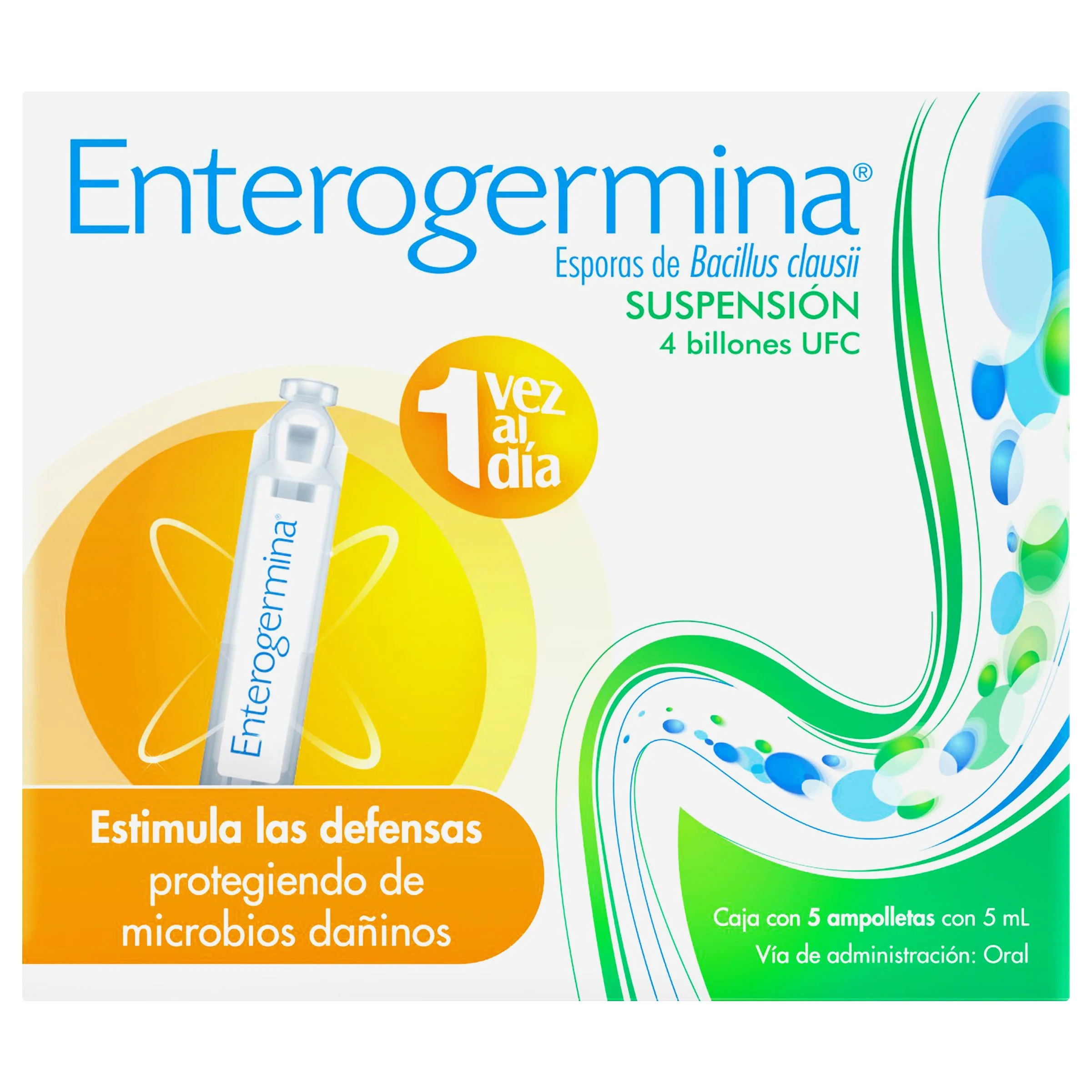 Enterogermina 4B Susp Oral Ampolletas 5 X 5 Ml
