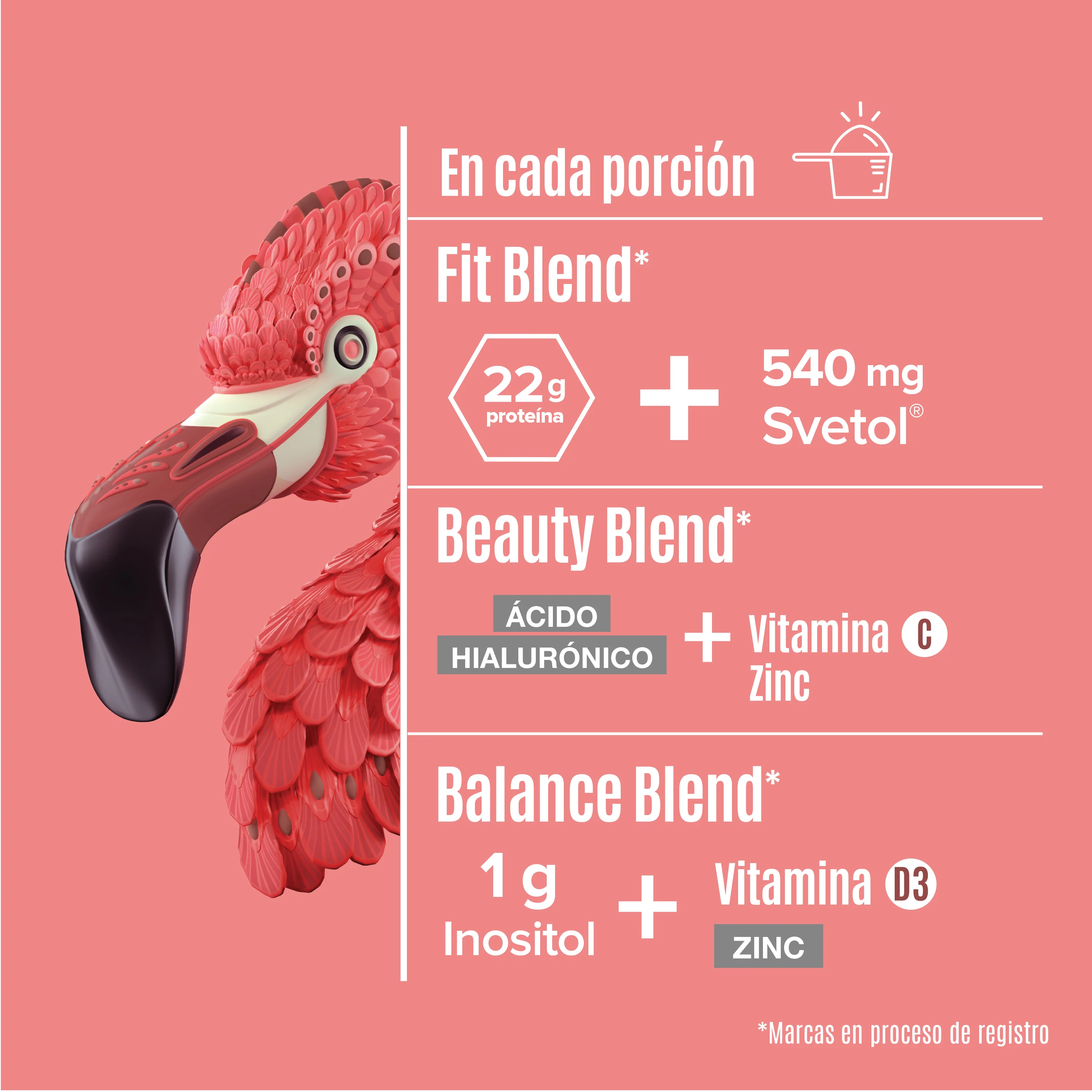 Fitmingo Proteina 510 G Birdman - Image 4